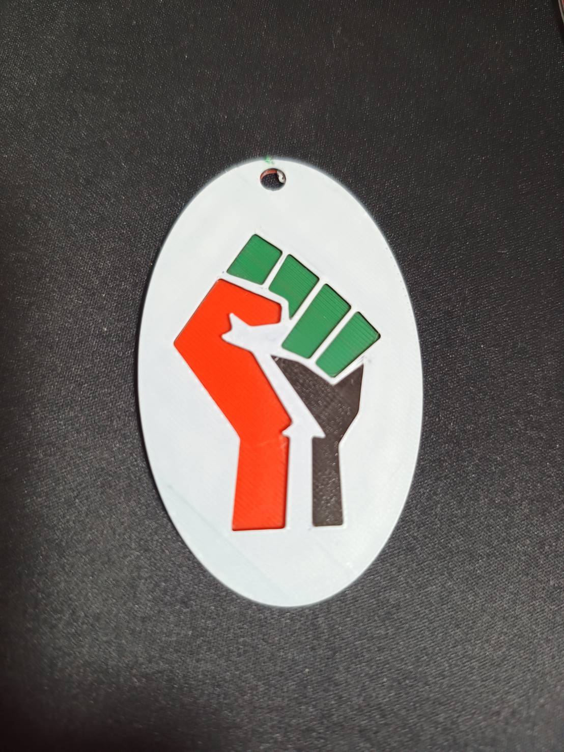 FreePalestine1の写真