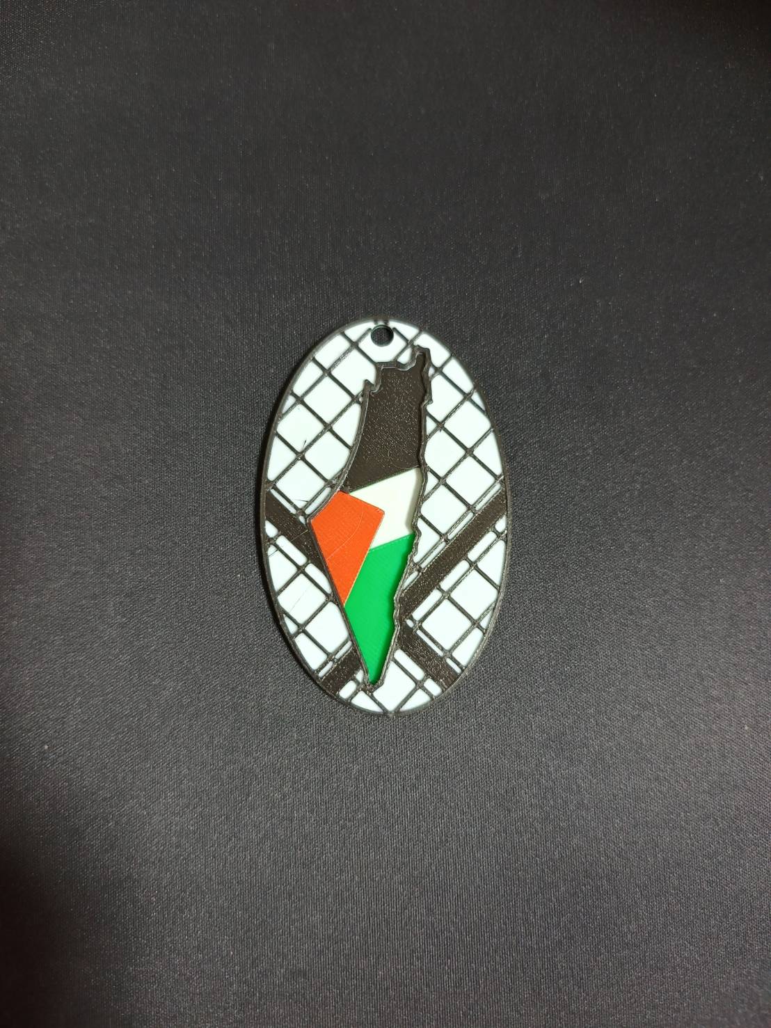 FreePalestine2の写真